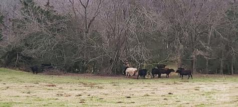 Tbd Willie Usher Road Lancaster SC 29720