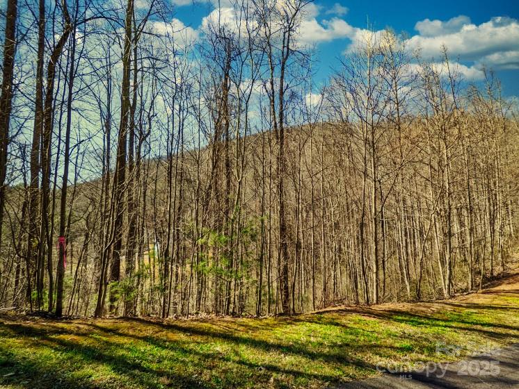 45 Ashewood Mountain Way Candler NC 28715