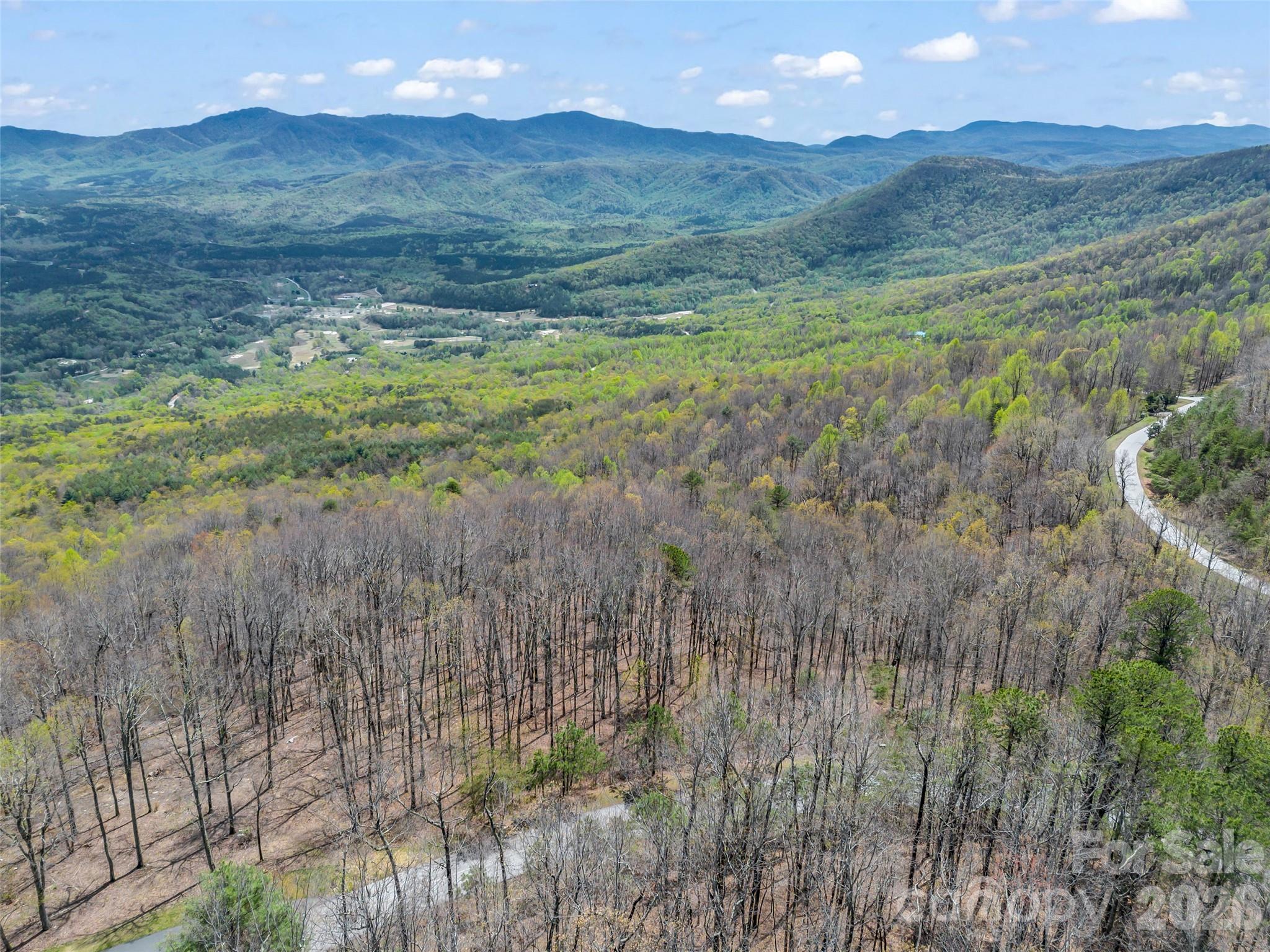 280 Eastman Place Mill Spring NC 28756