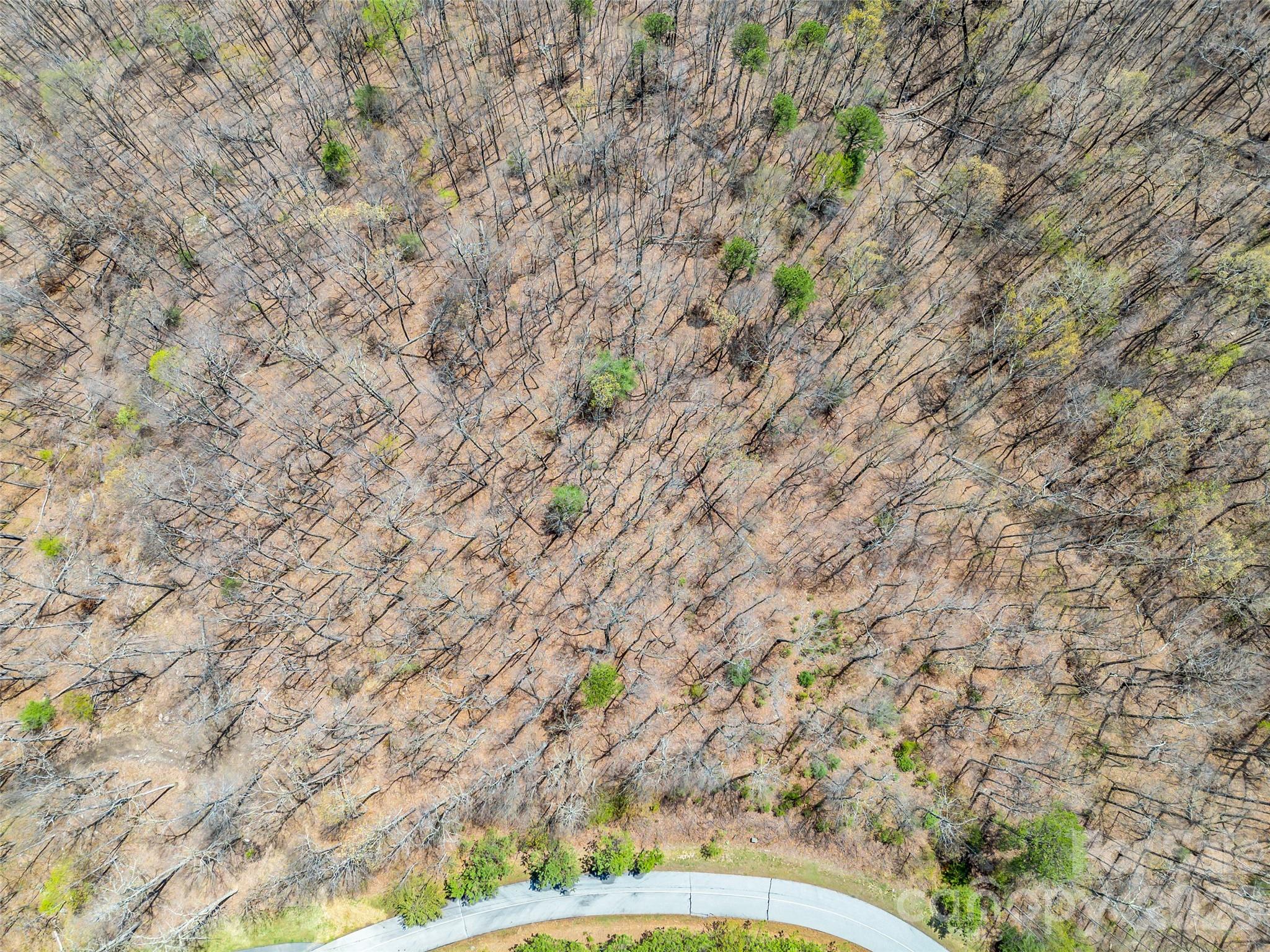 280 Eastman Place Mill Spring NC 28756