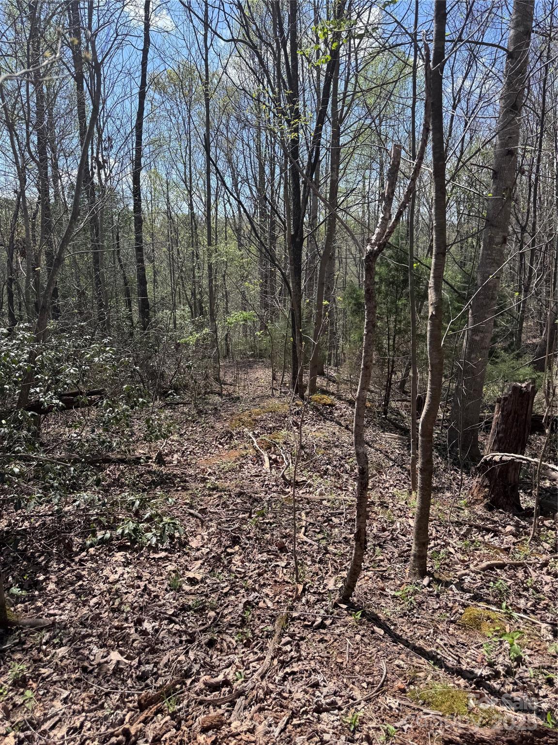 0 Brookside Parkway Lake Lure NC 28746