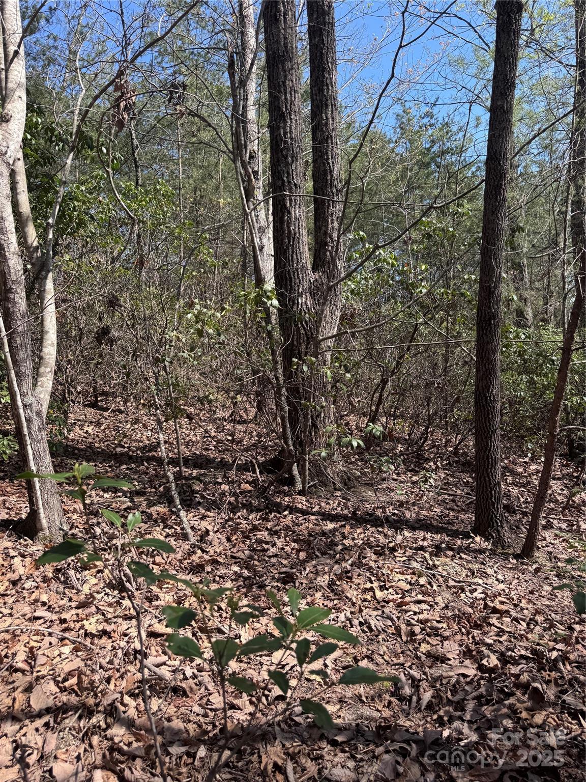0 Brookside Parkway Lake Lure NC 28746