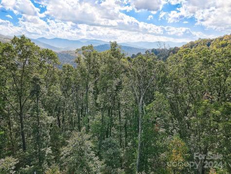 000 High Rock View Drive Canton NC 28716