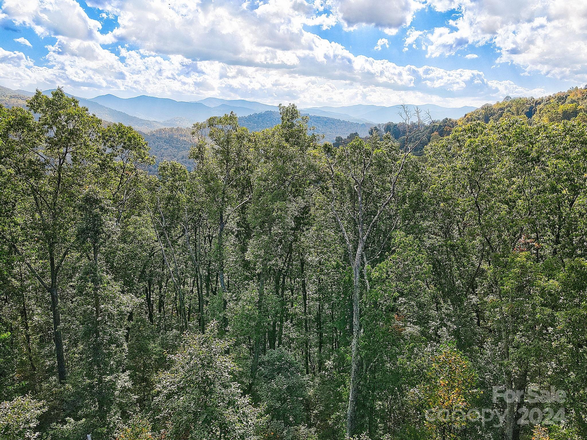 000 High Rock View Drive Canton NC 28716