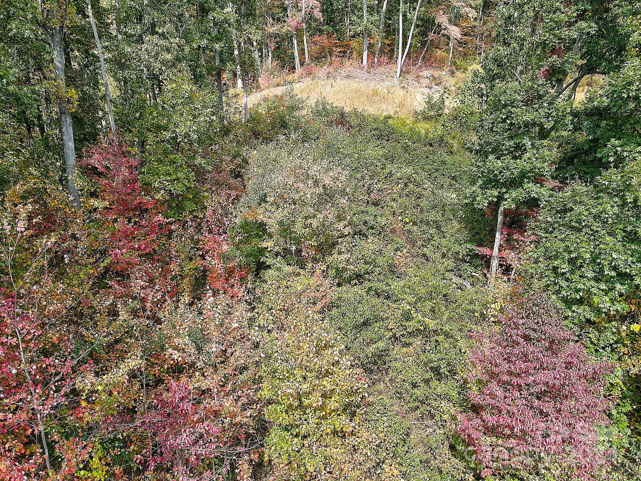 000 High Rock View Drive Canton NC 28716