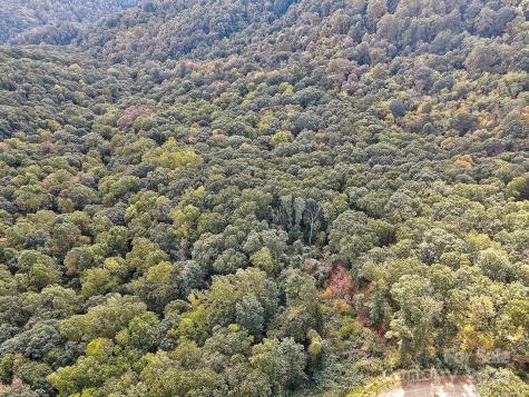 000 High Rock View Drive Canton NC 28716