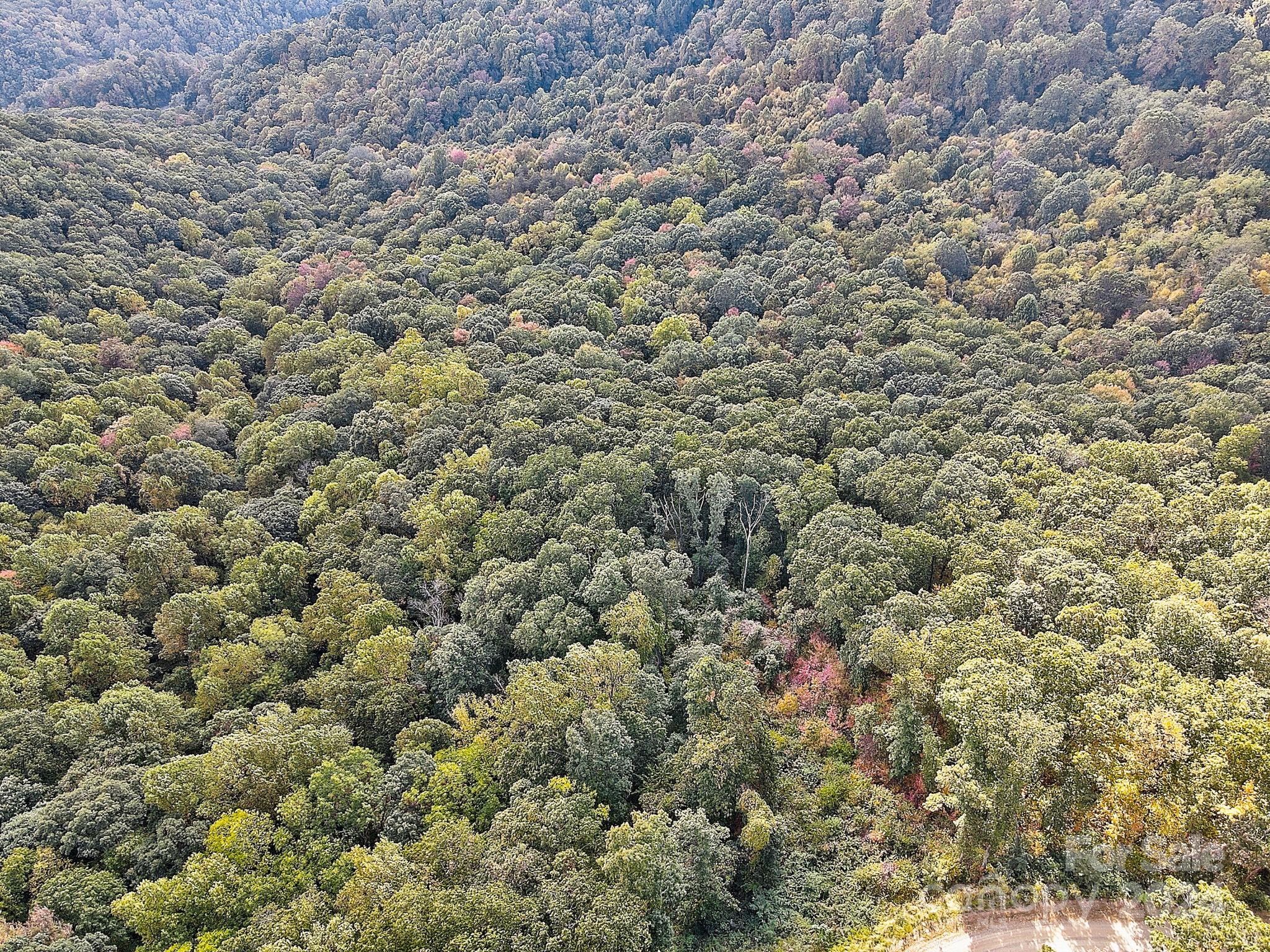000 High Rock View Drive Canton NC 28716