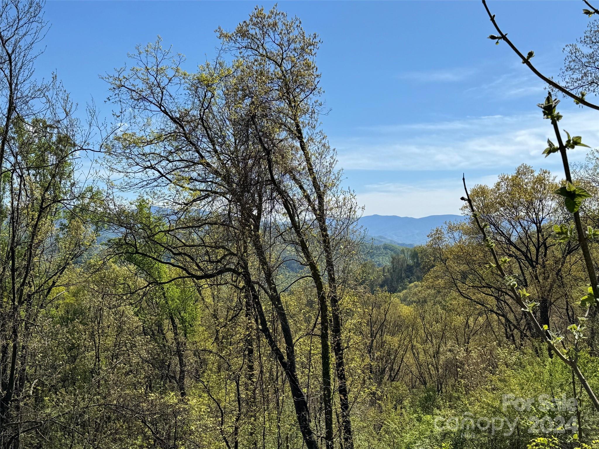 000 High Rock View Drive Canton NC 28716