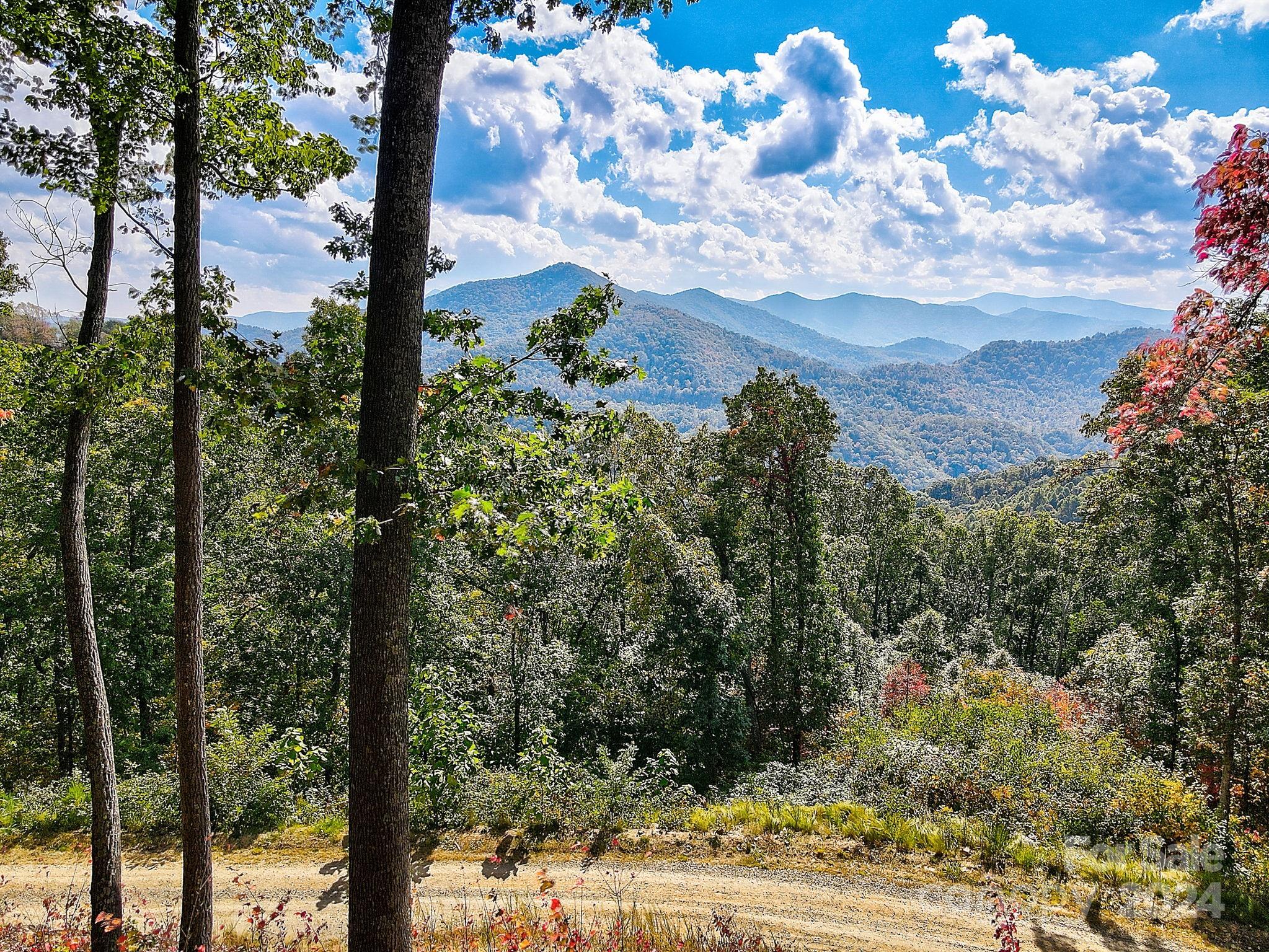 000 High Rock View Drive Canton NC 28716
