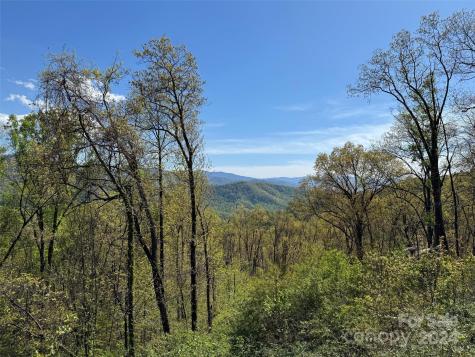 000 High Rock View Drive Canton NC 28716