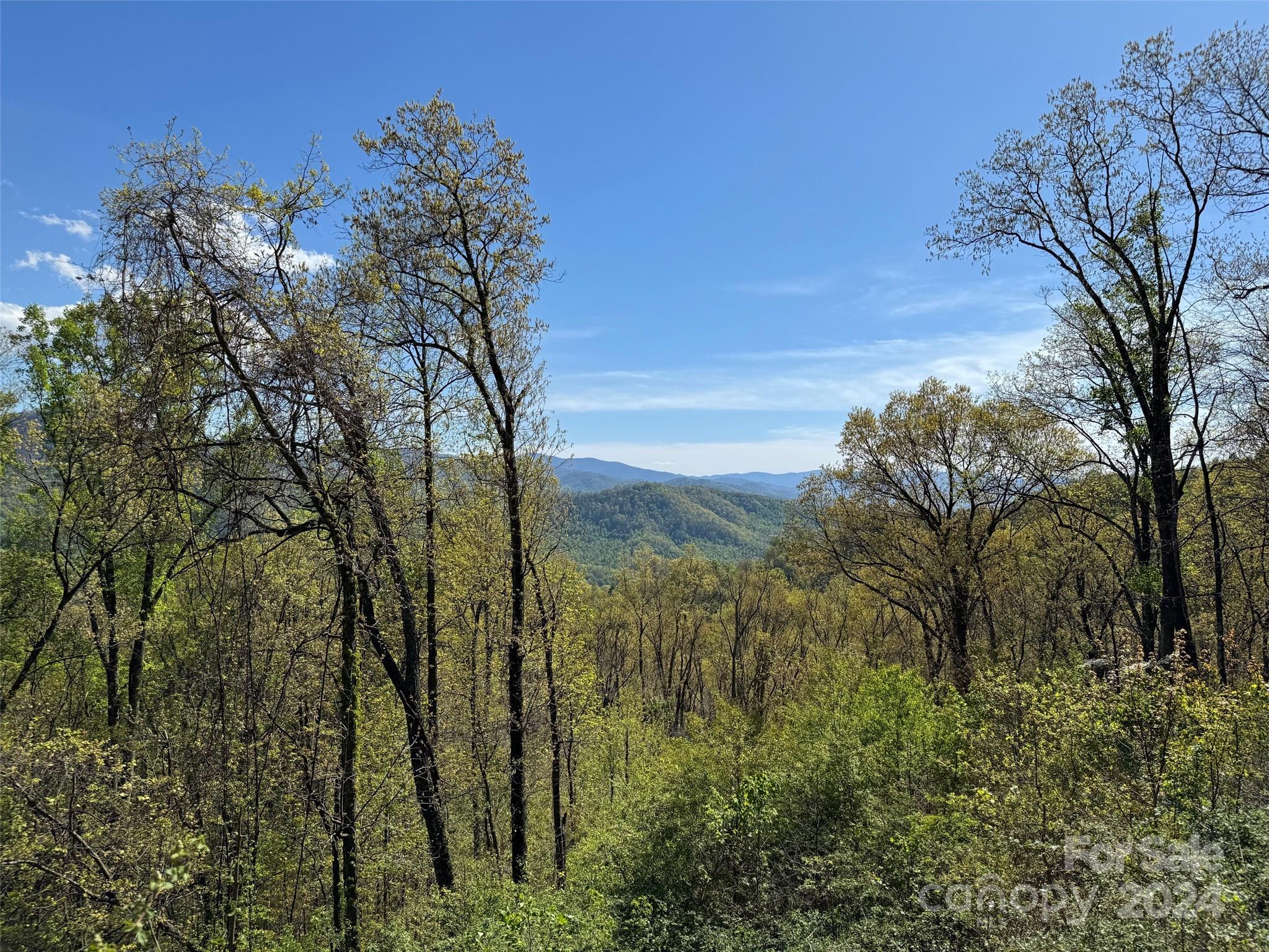 000 High Rock View Drive Canton NC 28716