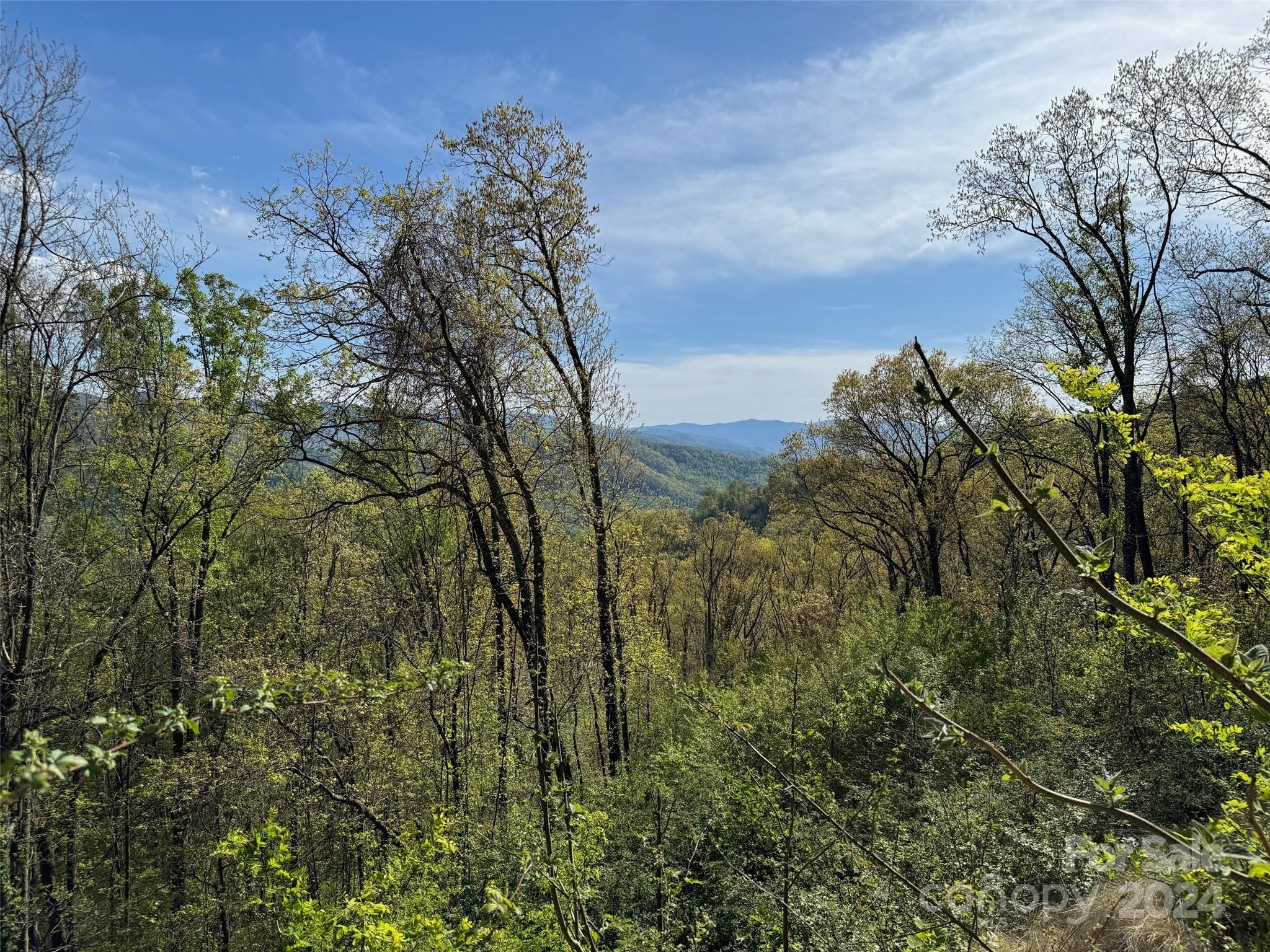 000 High Rock View Drive Canton NC 28716