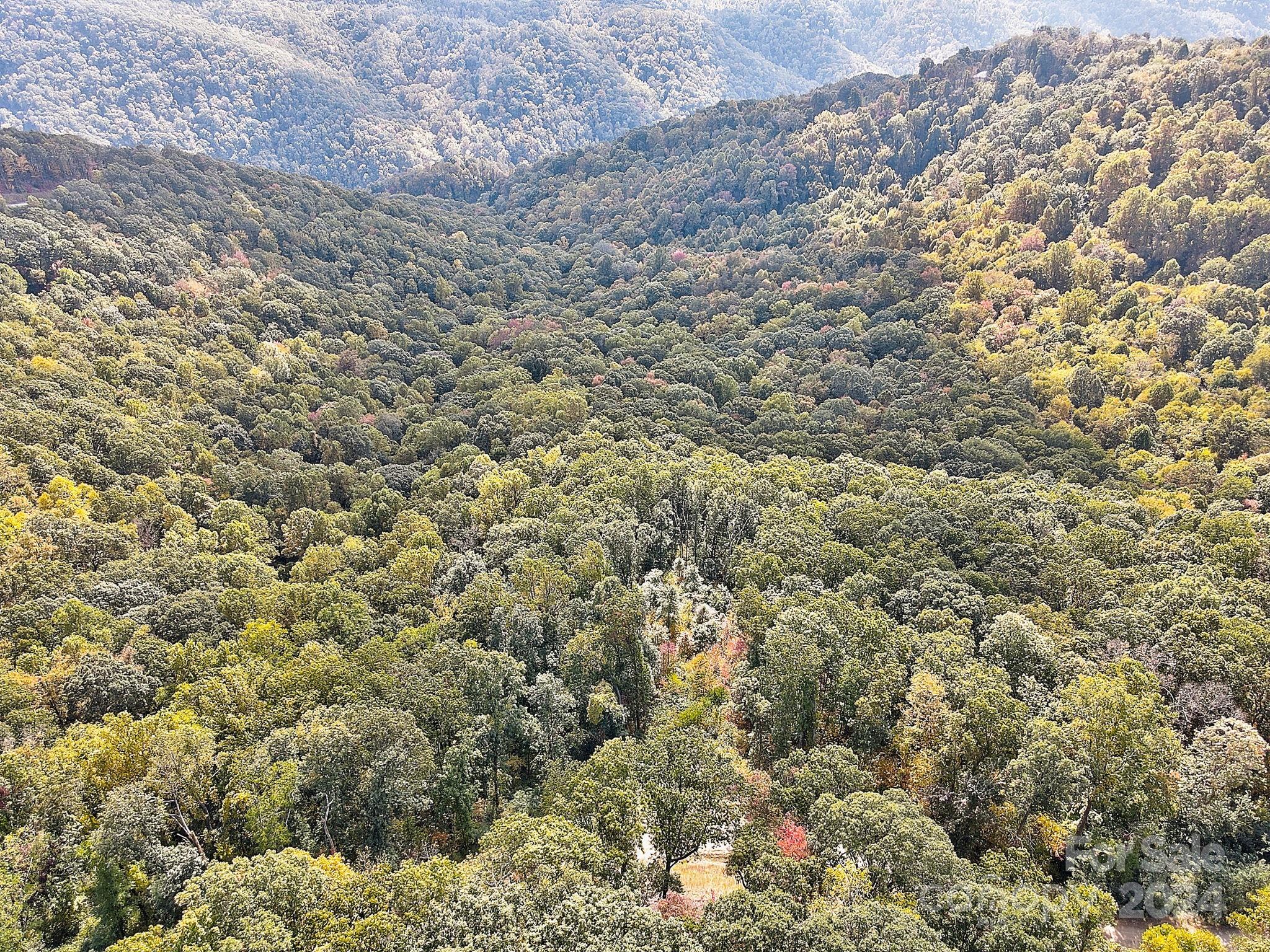 000 High Rock View Drive Canton NC 28716