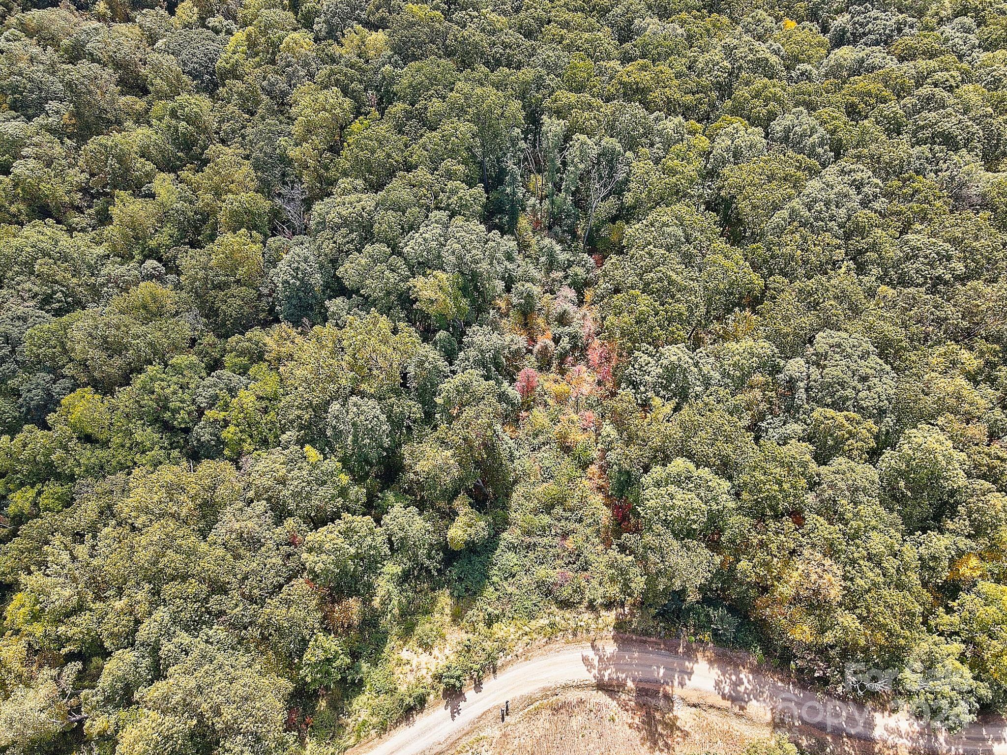 000 High Rock View Drive Canton NC 28716