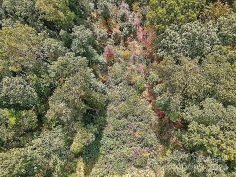 000 High Rock View Drive Canton NC 28716