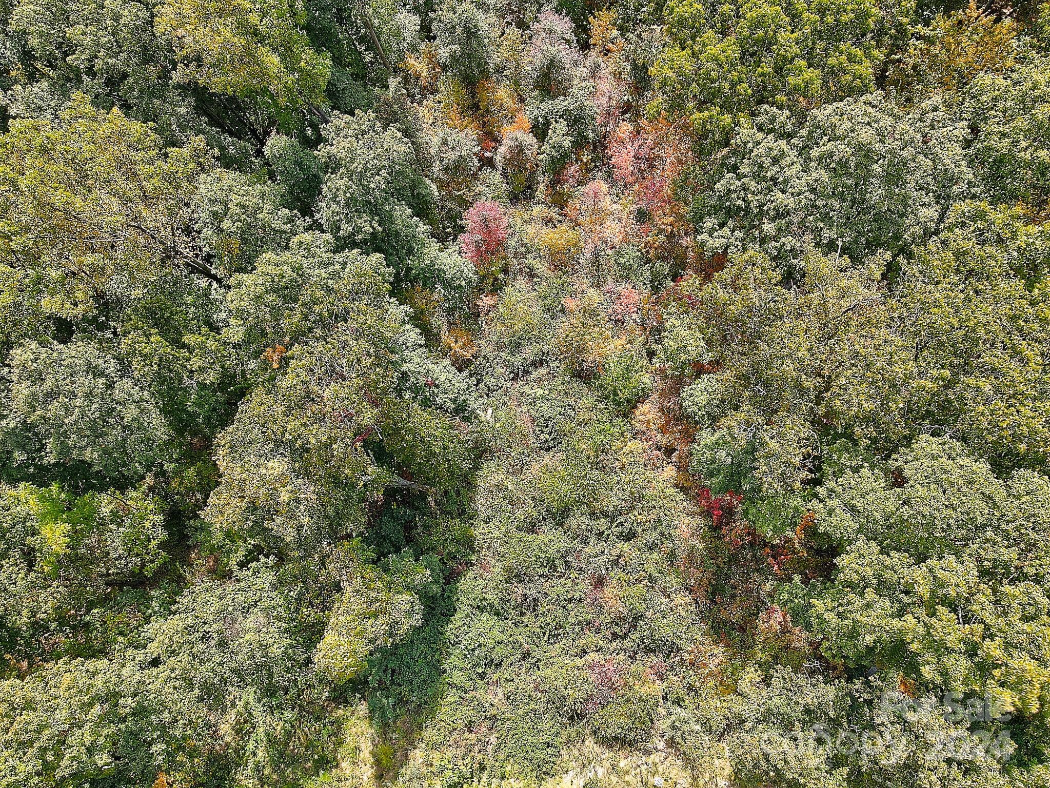 000 High Rock View Drive Canton NC 28716
