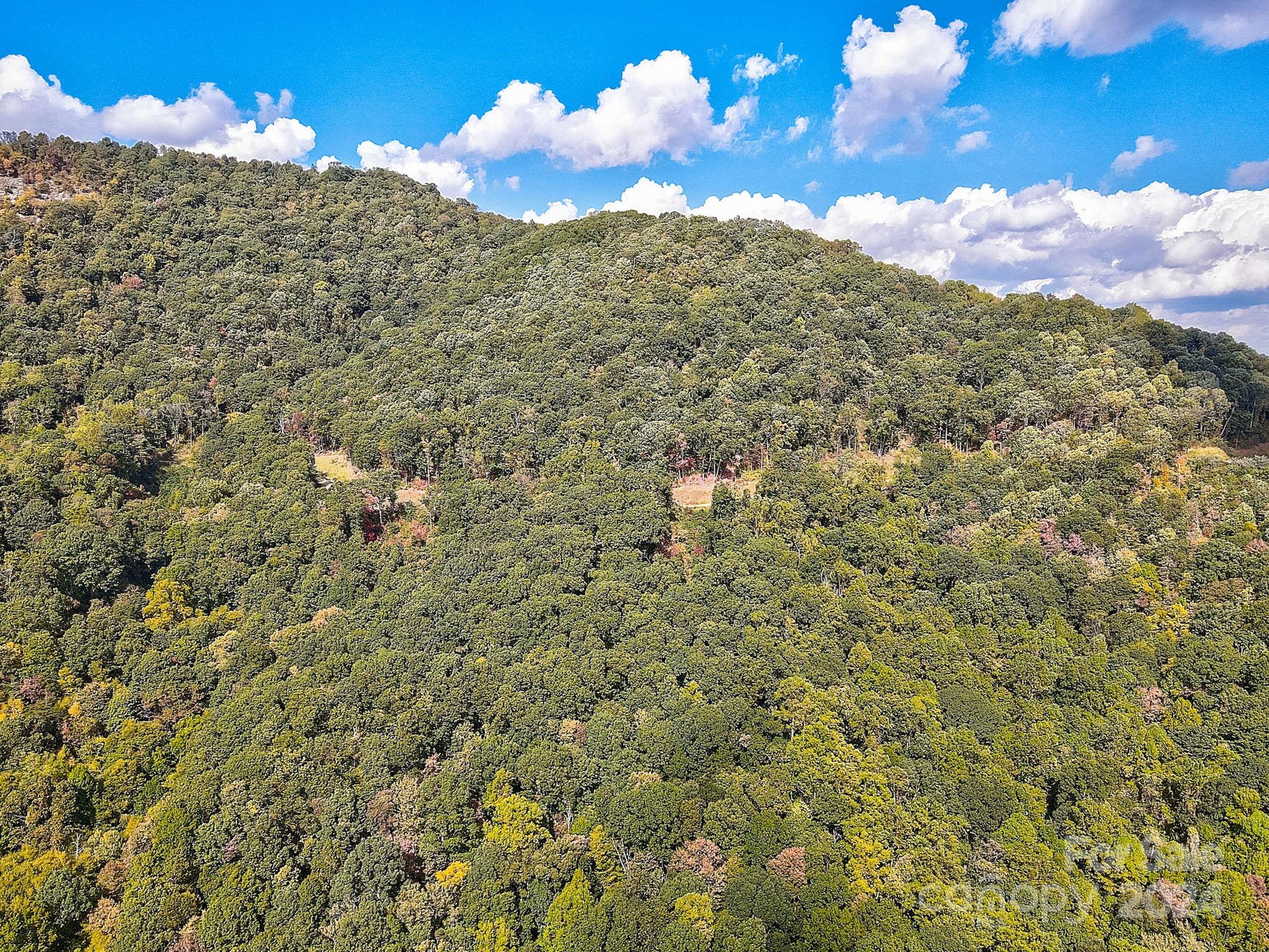 000 High Rock View Drive Canton NC 28716