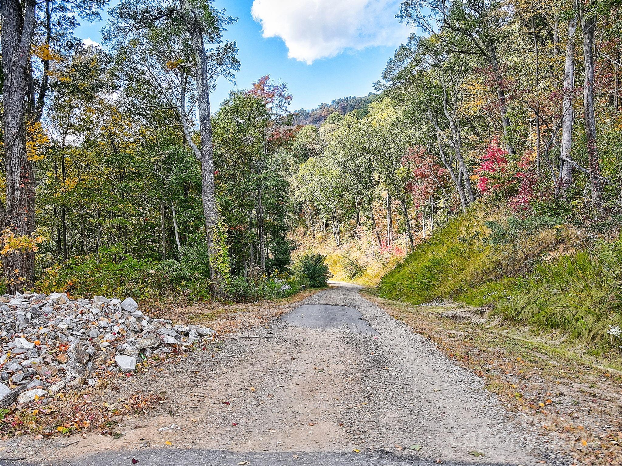 000 High Rock View Drive Canton NC 28716