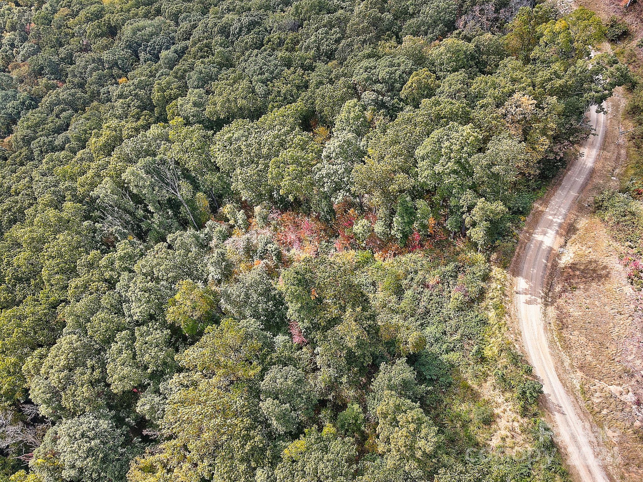 000 High Rock View Drive Canton NC 28716