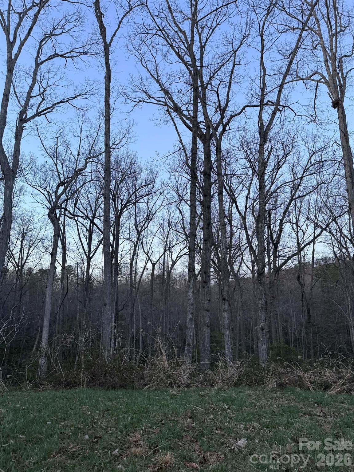 0000 Berea Avenue Connelly Springs NC 28612