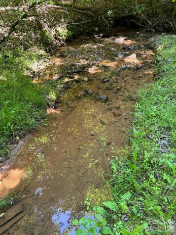 Lot 54 Billings Hill Church Road Traphill NC 28683