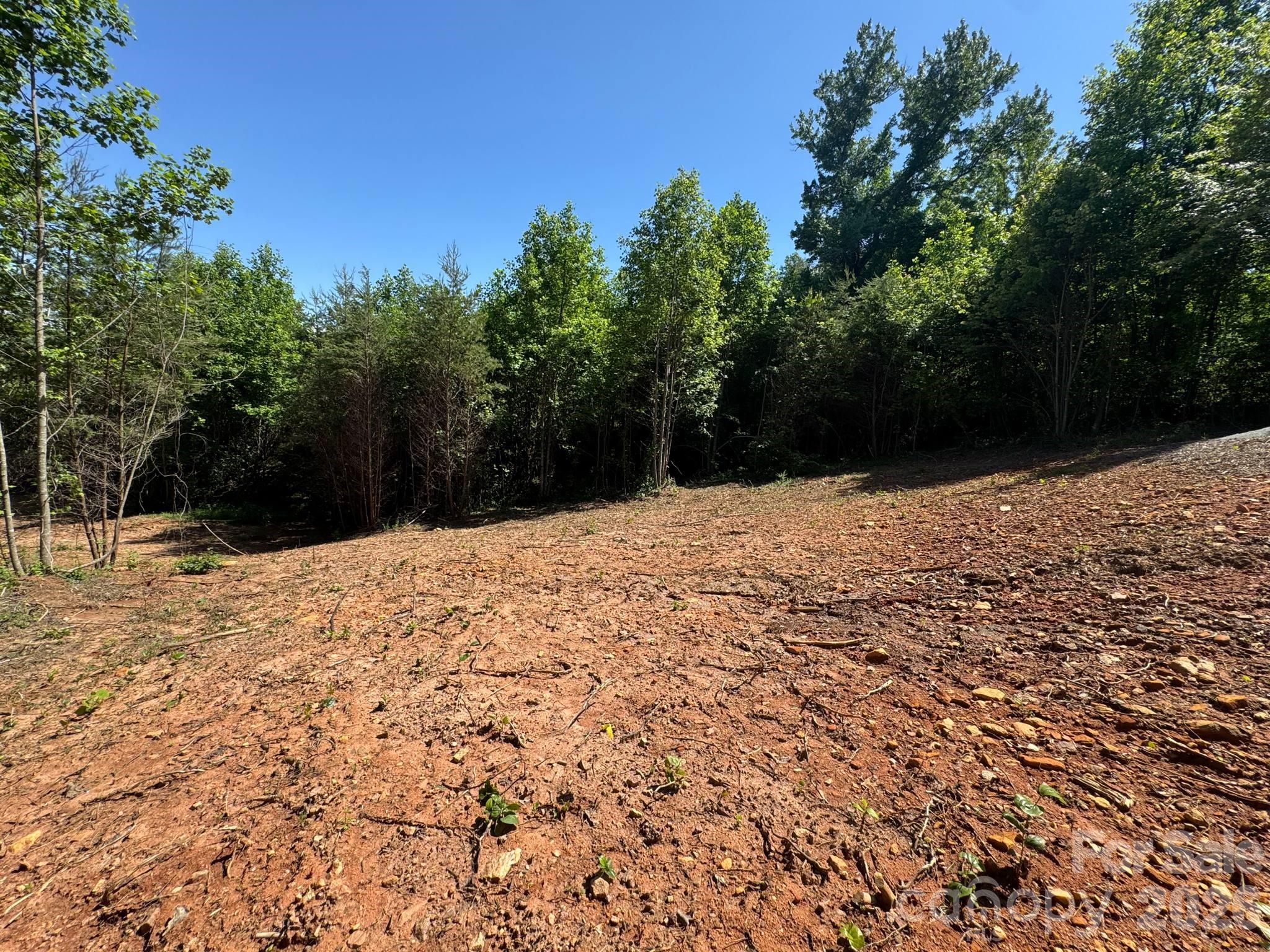 Lot 54 Billings Hill Church Road Traphill NC 28683