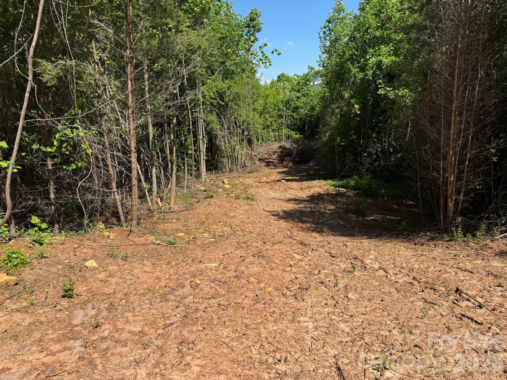 Lot 54 Billings Hill Church Road Traphill NC 28683