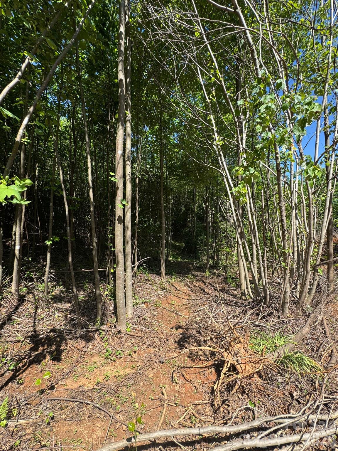 Lot 54 Billings Hill Church Road Traphill NC 28683