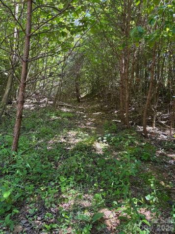 Lot 54 Billings Hill Church Road Traphill NC 28683