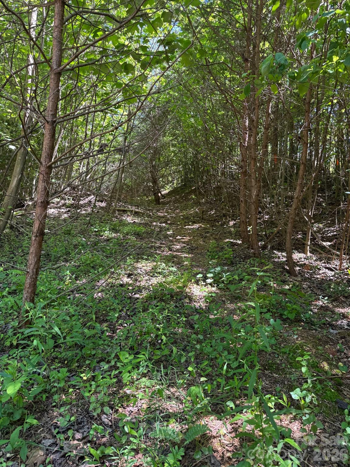Lot 54 Billings Hill Church Road Traphill NC 28683