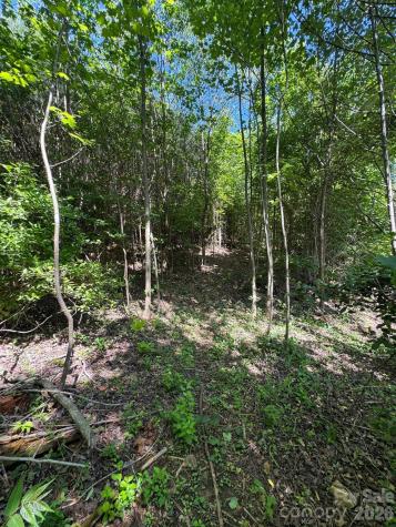 Lot 54 Billings Hill Church Road Traphill NC 28683