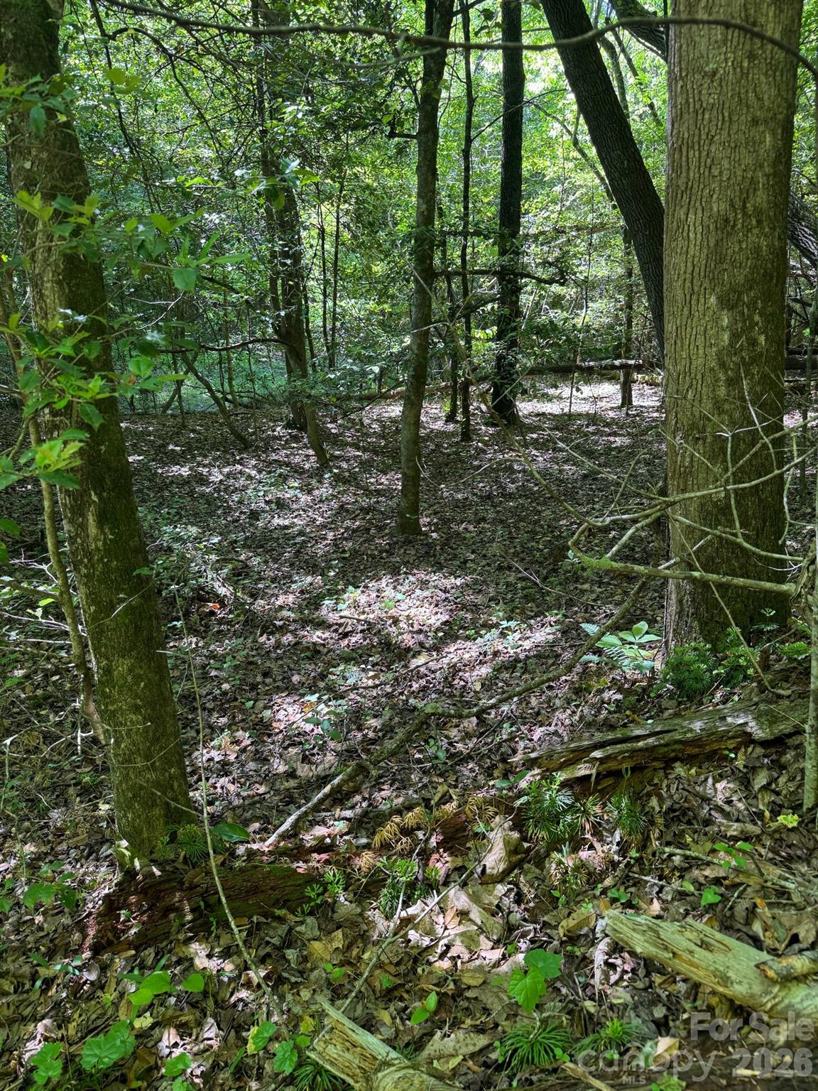 Lot 54 Billings Hill Church Road Traphill NC 28683