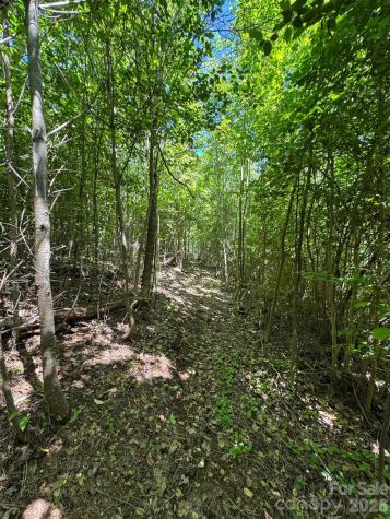 Lot 54 Billings Hill Church Road Traphill NC 28683