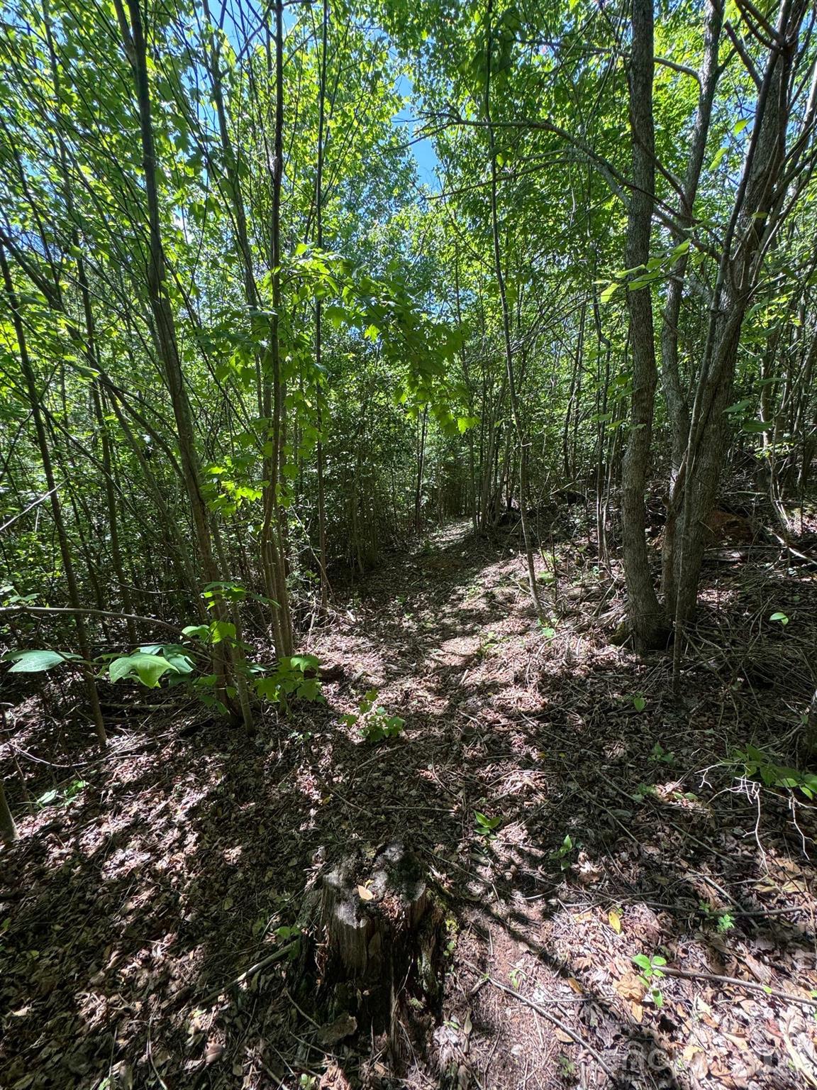 Lot 54 Billings Hill Church Road Traphill NC 28683