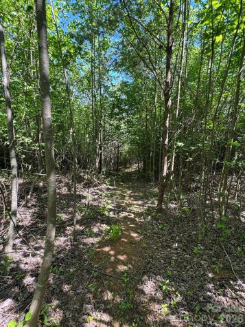 Lot 54 Billings Hill Church Road Traphill NC 28683