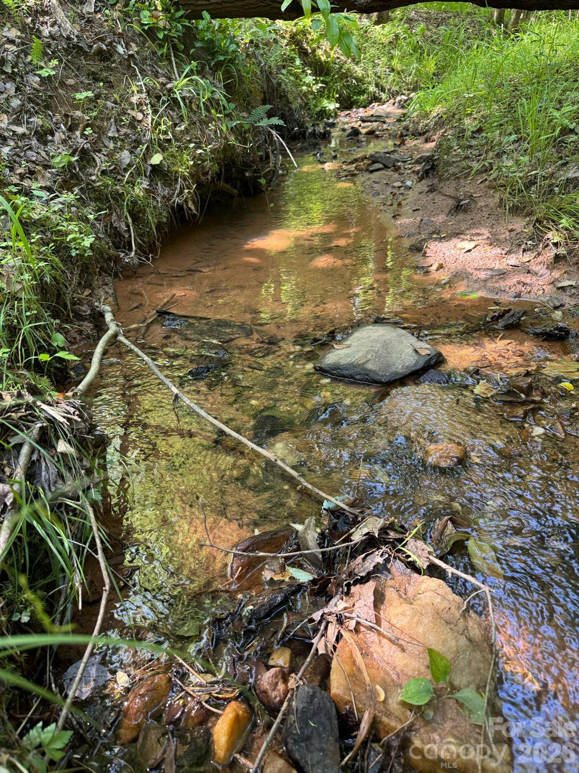 Lot 54 Billings Hill Church Road Traphill NC 28683