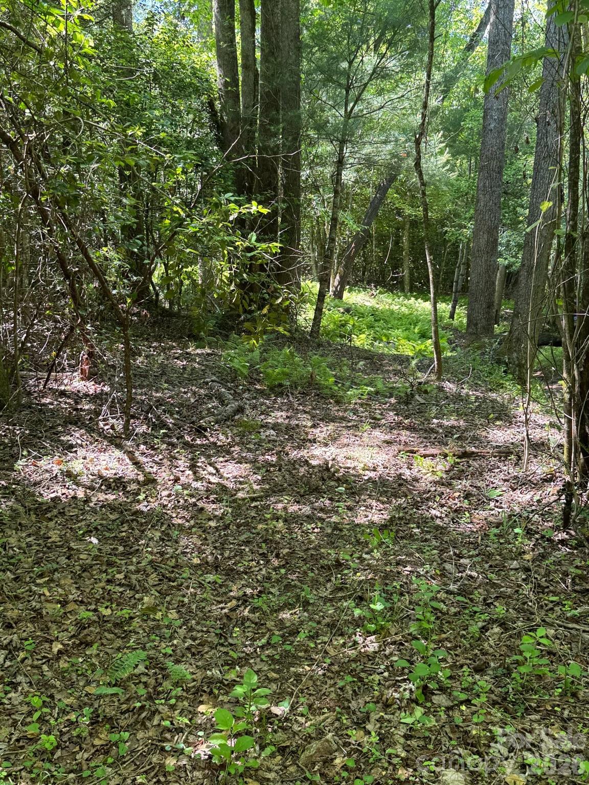 Lot 54 Billings Hill Church Road Traphill NC 28683