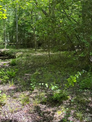 Lot 54 Billings Hill Church Road Traphill NC 28683