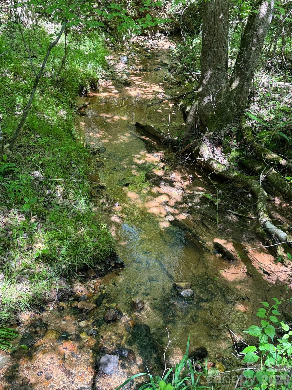 Lot 54 Billings Hill Church Road Traphill NC 28683