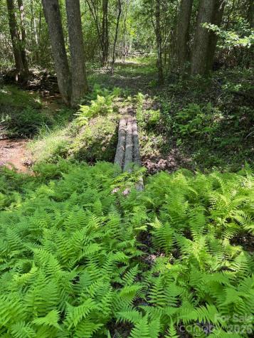 Lot 54 Billings Hill Church Road Traphill NC 28683
