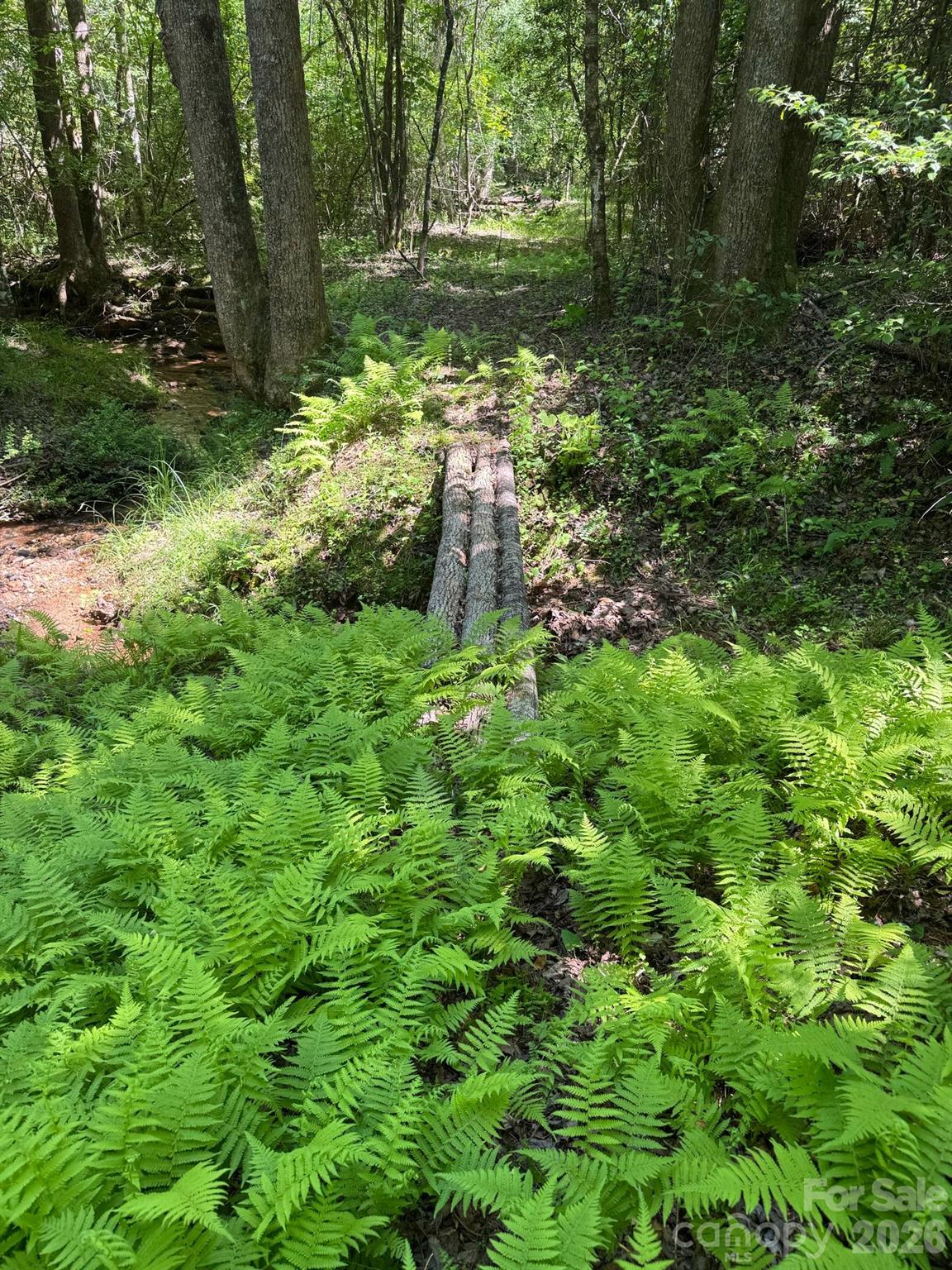 Lot 54 Billings Hill Church Road Traphill NC 28683