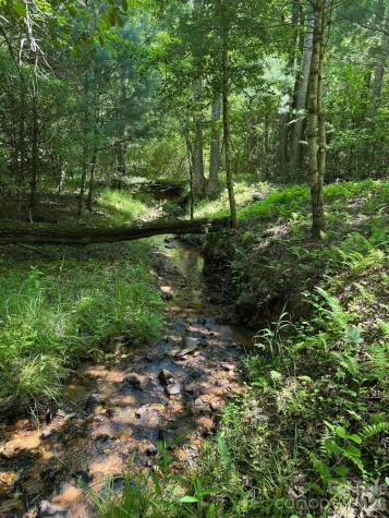 Lot 54 Billings Hill Church Road Traphill NC 28683