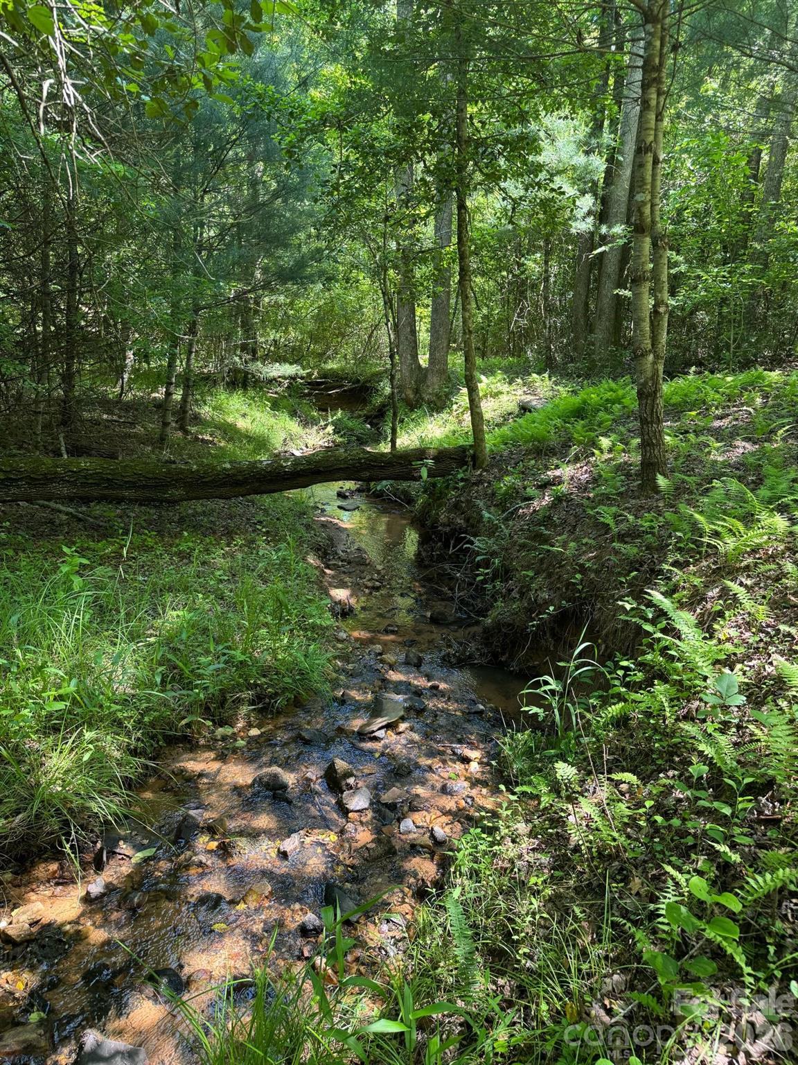 Lot 54 Billings Hill Church Road Traphill NC 28683