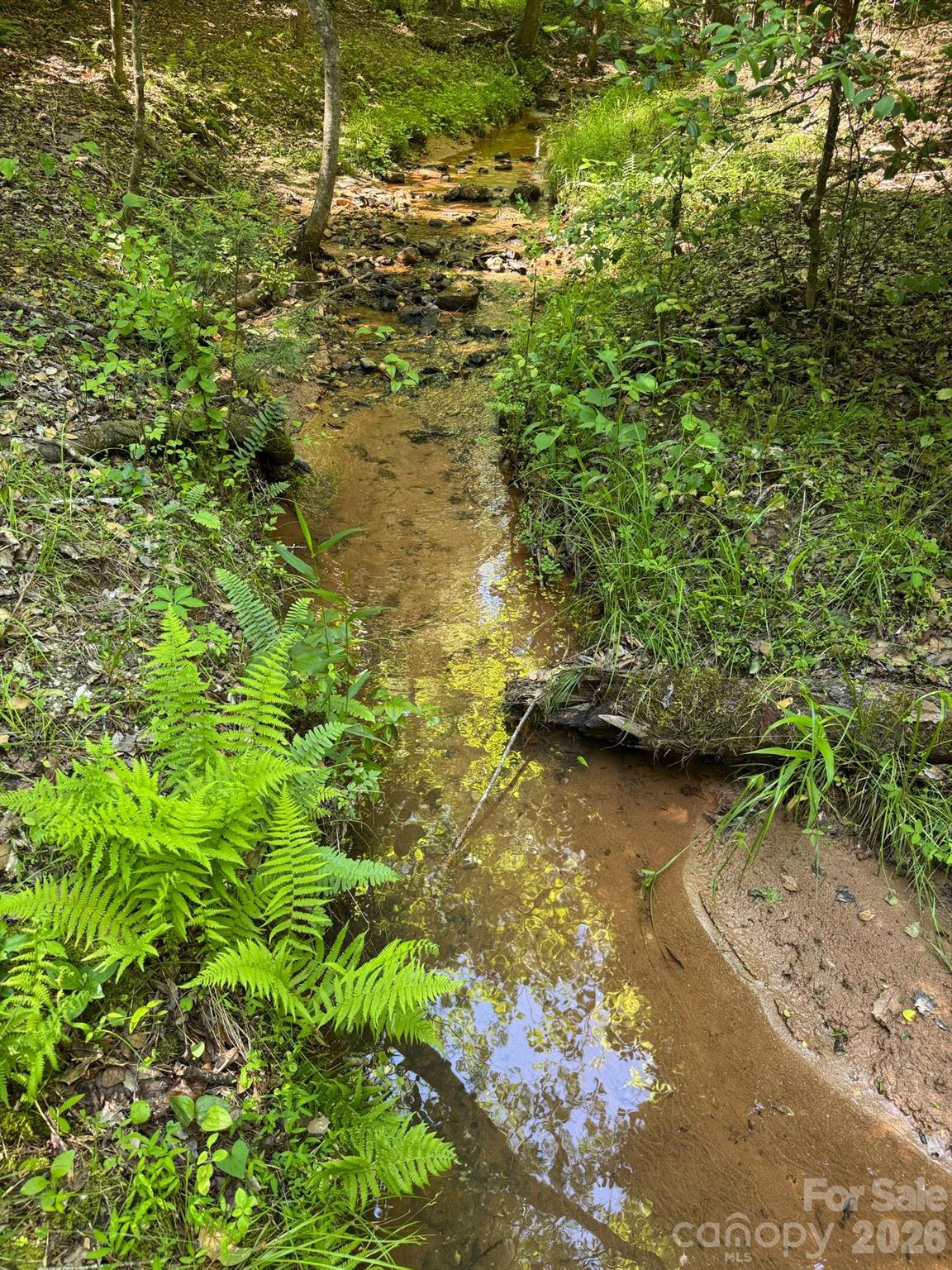 Lot 54 Billings Hill Church Road Traphill NC 28683