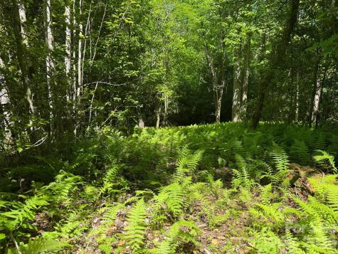 Lot 54 Billings Hill Church Road Traphill NC 28683