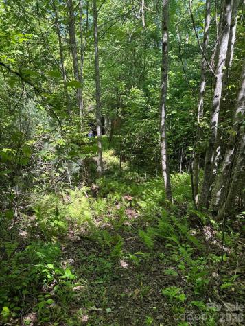 Lot 54 Billings Hill Church Road Traphill NC 28683