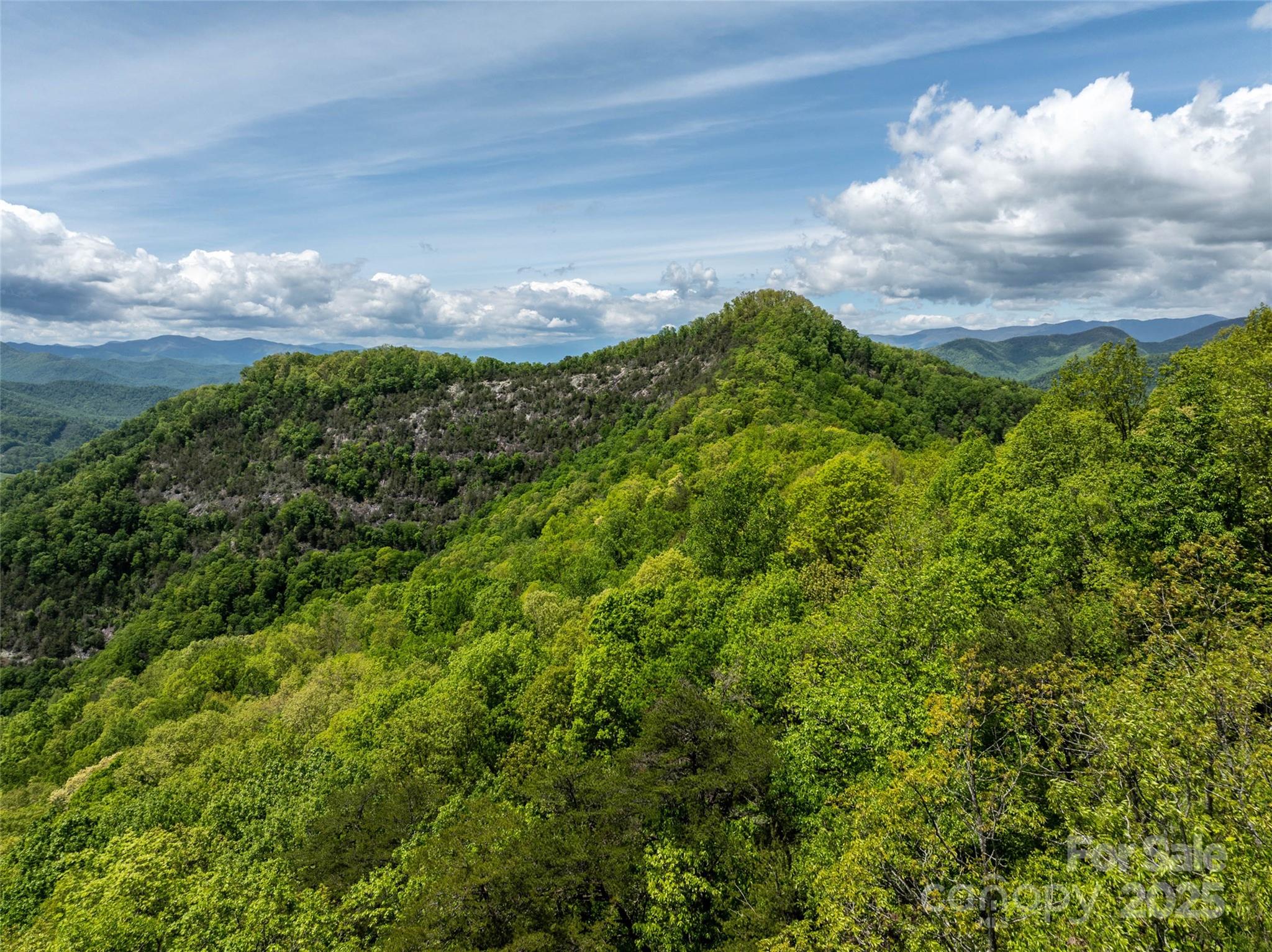 444 Woodring Cemetery Road Tuckasegee NC 28783