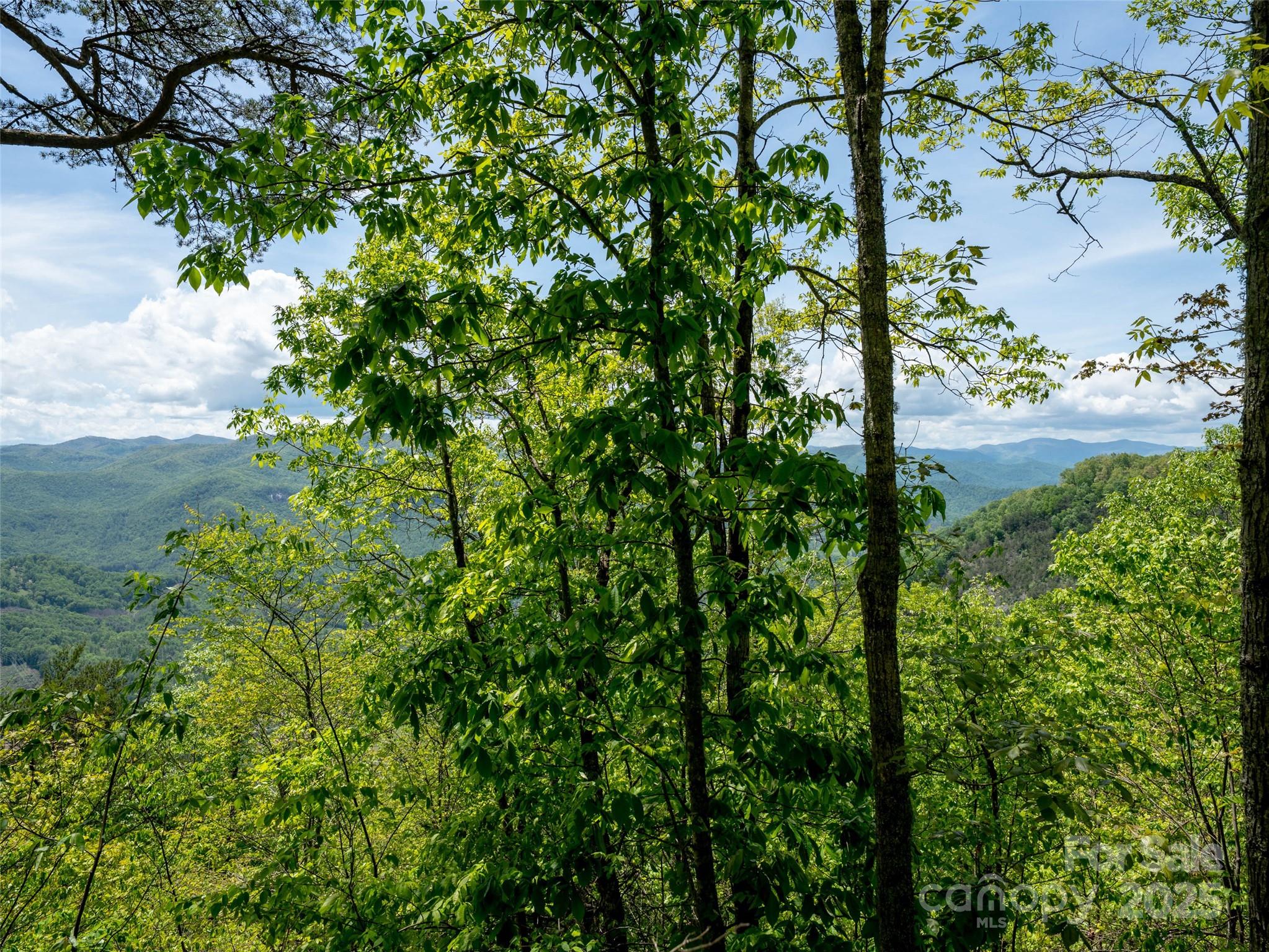 444 Woodring Cemetery Road Tuckasegee NC 28783