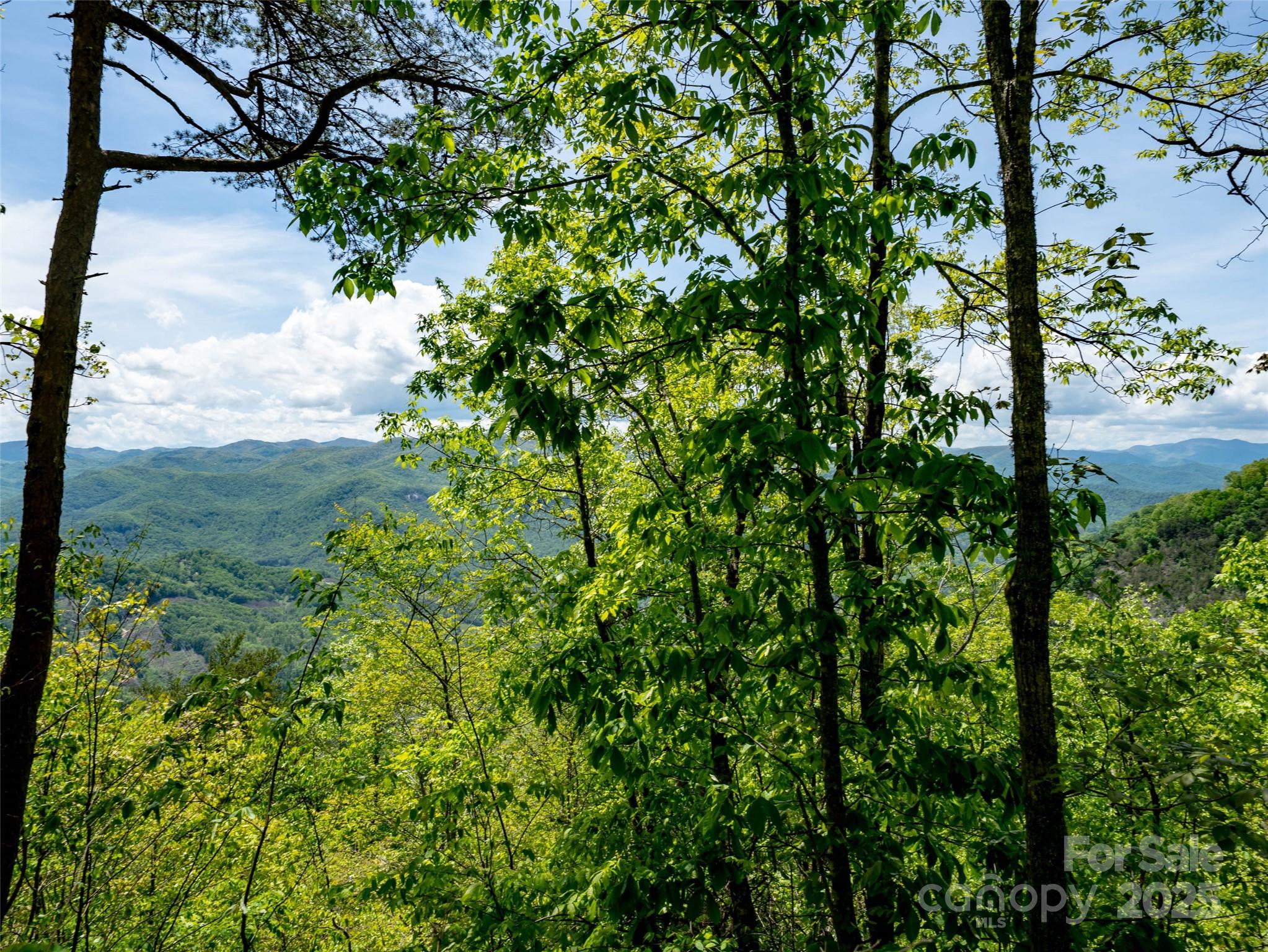 444 Woodring Cemetery Road Tuckasegee NC 28783