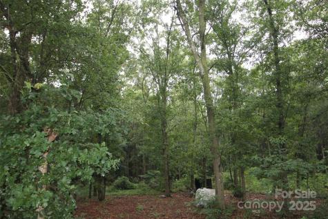 Tbd Rainbow Road Wadesboro NC 28170